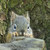 :iconphotografikendeavors: