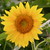 :iconphotographedx3: