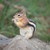 :iconphotographerschild: