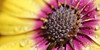 :iconphotographersweare: