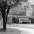 :iconphotographology: