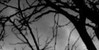 :iconphotography-bp: