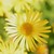 :iconphotography-by-angie: