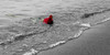:iconphotography1111: