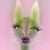 :iconphotographybyvita: