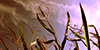 :iconphotographyforlife:
