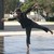 :iconphotographygirl17: