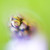 :iconphotographyhd: