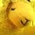 :iconphotographysheep: