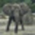 :iconphotoguru72: