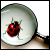 :iconphotohunt:
