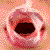 :iconphotojunkie852:
