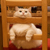 photomarker :iconphotomarker: