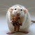 :iconphotomographer: