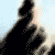 :iconphotomorfosi: