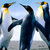 :iconphotomorph-lover: