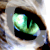:iconphotoopportunity: