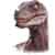 :iconphotopatterson: