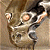 :iconphotophore: