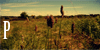 :iconphotoriginal: