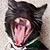 :iconphotosbymina: