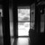 :iconphotosnappingturtle: