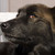 :iconphotostrom: