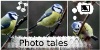 :iconphototales: