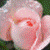 :iconphotoxmexup: