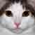 :iconphreakkittin: