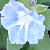 :iconphsoilercheer: