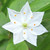 phycopixie :iconphycopixie: