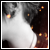 :iconphyrius-kun: