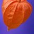 Physalis-Lantern :iconphysalis-lantern: