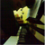 :iconpianistemaitre: