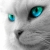 :iconpiano-forte: