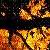 :iconpiano-on-fire:
