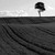 :iconpianofreak262: