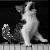 :iconpianokitty: