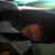 :iconpibi-lyza: