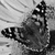:iconpicaninny-ice-freeze: