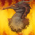 :iconpicarus:
