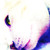 :iconpiccolamimi: