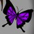 :iconpiccolinna: