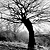 :iconpiccy-pikpix: