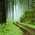 :iconpick-up-styx: