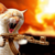 :iconpickle-paw: