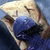 :iconpicool4: