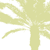 :iconpicopallasi: