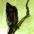 :iconpicturefarm: